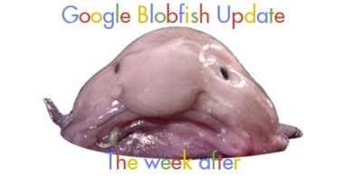 Blobfish Results