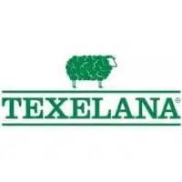 Texelana SEO & SEA case